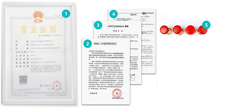 重庆公司注册材料